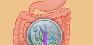 MICROBIOTA INTESTINALE