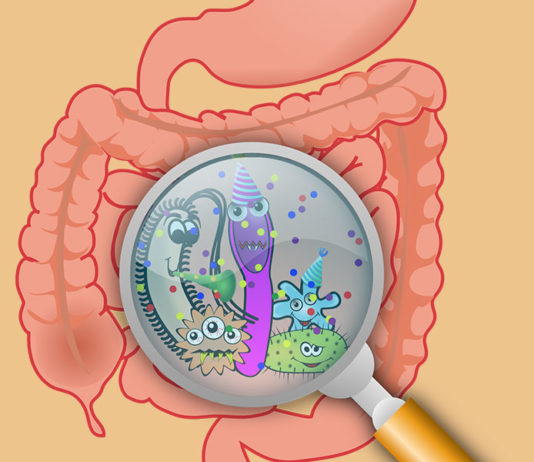 MICROBIOTA INTESTINALE