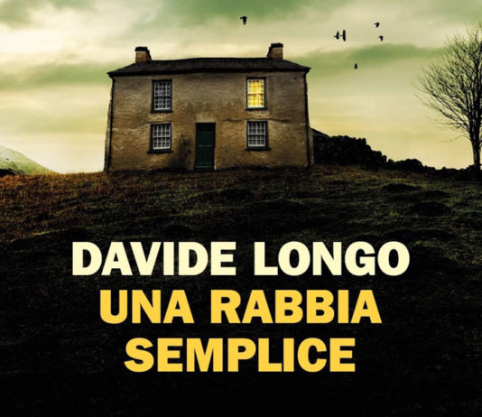 David longo Una rabbia semplice